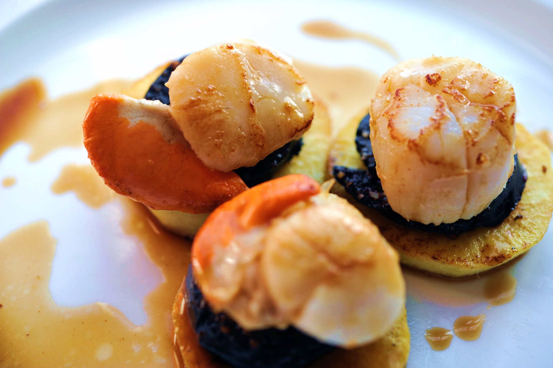 Scallop School Monday 19th February 2024